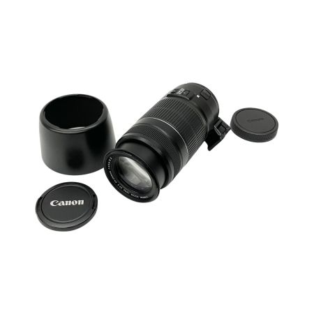  CANON キャノン ZOOM LENS EF-S IS ii 55-250mm F4-5.6 交換レンズ