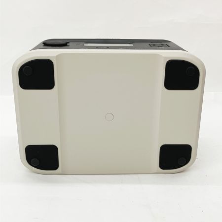  Victor ビクタ ポータブル電源 BN-RF250 ベージュ