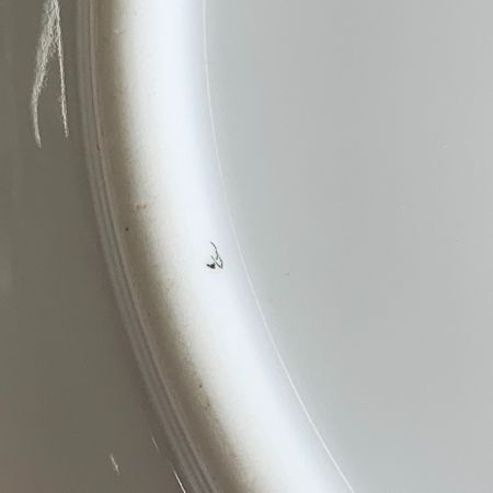  Herend ヘレンド ヴィクトリア ブーケ デザートプレート 洋食器