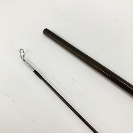  sage セージ DS2 ＃5 90""3 1/4oz フライロッド 590 GRAPHITE ii