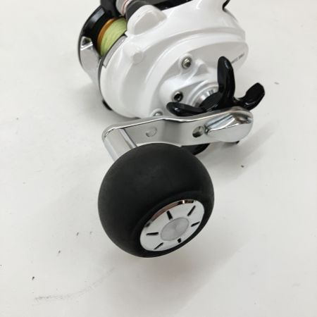  DAIWA ダイワ LEOBRITZ レオブリッツ 300J 電動リール 801456