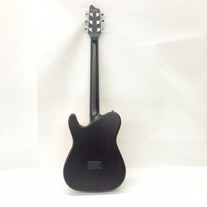 schecter シェクター OL-FL SNTL エレクトリックアコースティック