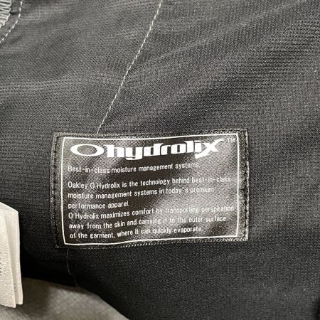  OAKLEY オークリー ゴルフウエア メンズ パンツ サイズL  グレー