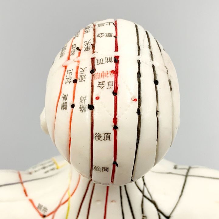 経絡経穴鍼灸模型 人形 けいけつくん 男性 - 中古小物 - なんでも