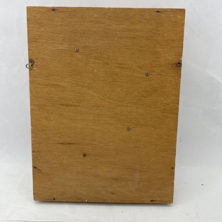  日本バードボード ガラスケース入り のみ ノミ 鑿 ちょうな