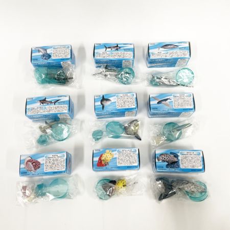  KAIYODO Co.,Ltd. 海洋堂 フィギュア アクアテイルズ第1弾×15個 第2弾×13個