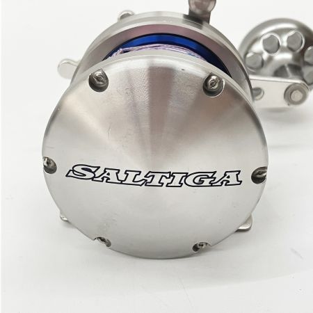  DAIWA ダイワ SALTIGA ソルティガ Z30 607221 両軸リール