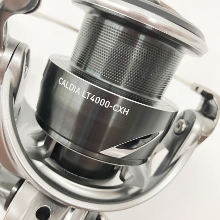  DAIWA ダイワ CALDIA 25 カルディア LT4000-CXH 3442537 スピニングリール