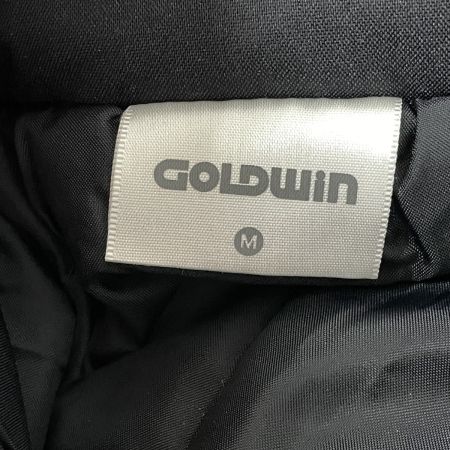  GOLDWIN ゴールドウィン スノーボードウェア パンツ サイズM G31713P ブラック