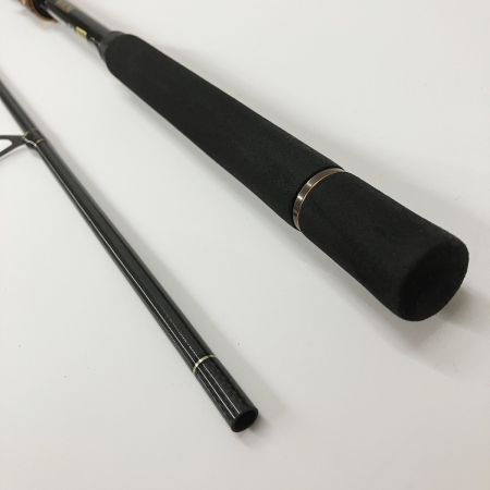  DAIWA ダイワ Morethan Branzino モアザンブランジーノ MT ER EX AGS 98M/MH 05800104 ルアーロッド