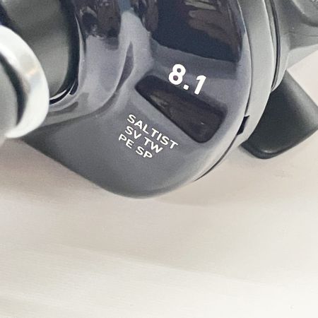  DAIWA ダイワ SALTIST SV PE SPECIAL 23 ソルティスト SV TW 80XHL ベイトリール