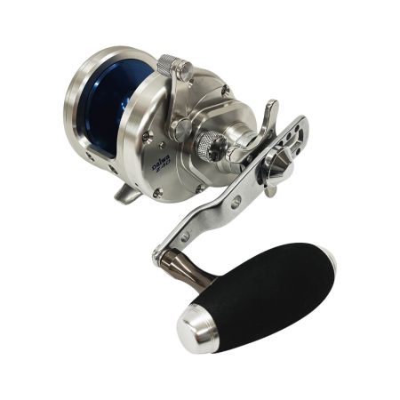  DAIWA ダイワ SALTIGA ソルティガ Z40 607223 両軸リール