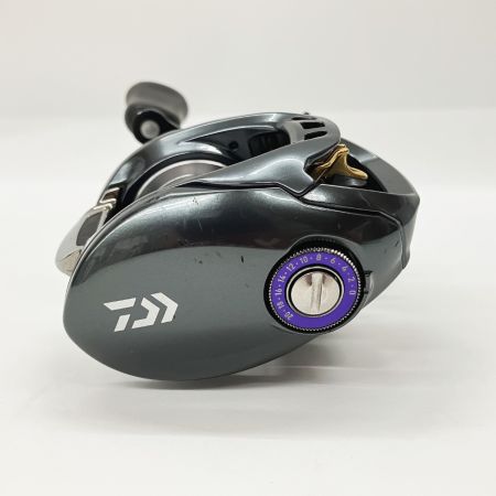  DAIWA ダイワ TATULA タトゥーラ SV TW 8.1 L ベイトリール