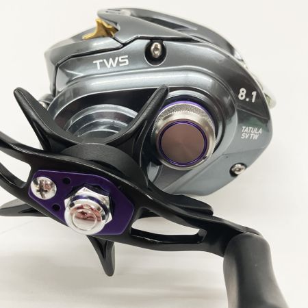  DAIWA ダイワ TATULA タトゥーラ SV TW 8.1 L ベイトリール