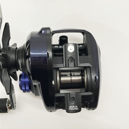  DAIWA ダイワ SALTIST ソルティスト TW PE SP 8.1 ベイトリール