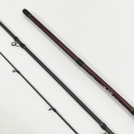  Fishman フィッシュマン Beams LOWER ビームス ローワー 8.6L  シーバスロッド