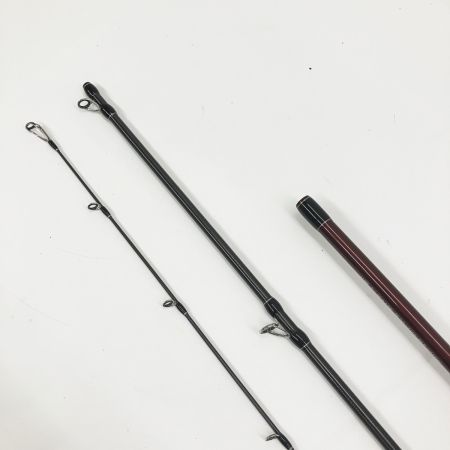  Fishman フィッシュマン Beams LOWER ビームス ローワー 8.6L  シーバスロッド