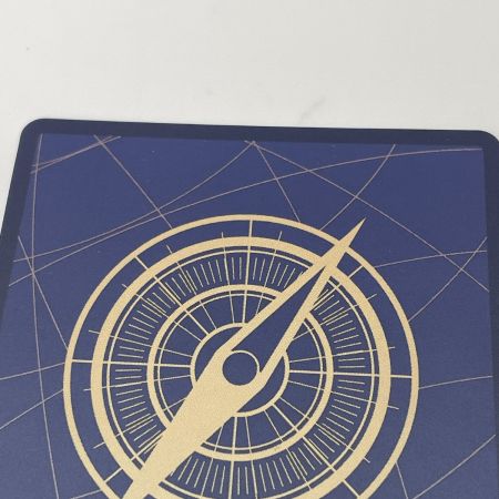   トレカ ワンピースカード Ｐ09-118 ゴール・Ｄ・ロジャー Ｏ (パラレル/手配書)