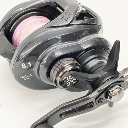  DAIWA ダイワ TATULA 21 タトゥーラ TW 300XH ベイトリール