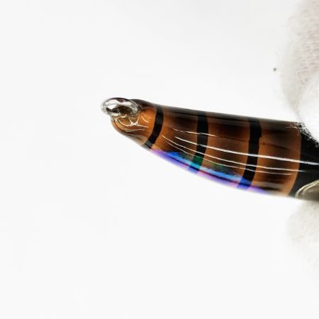  麗s Lure Craft レイズルアークラフト 麗s ミノー 40mm スズメバチ 未使用品