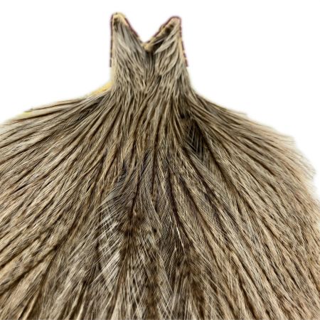 WHITING WHITING フライマテリアル COQ DE LEON コックデレオン ROOSTER CAPE  COQDELEON