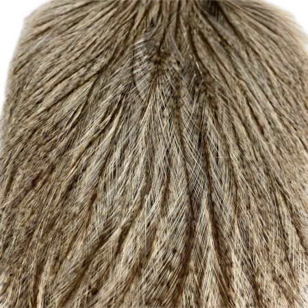 WHITING WHITING フライマテリアル COQ DE LEON コックデレオン ROOSTER CAPE  COQDELEON