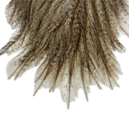 WHITING WHITING フライマテリアル COQ DE LEON コックデレオン ROOSTER CAPE  COQDELEON