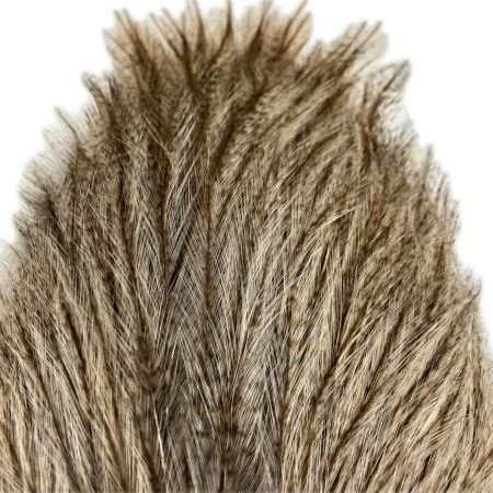 WHITING WHITING フライマテリアル COQ DE LEON コックデレオン ROOSTER CAPE  COQDELEON