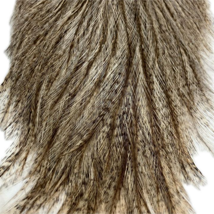 未使用　ホワイティング　コックデレオン ブロンズグレード　フライマテリアル WHITING WHITING フライマテリアル COQ DE LEON コックデレオン