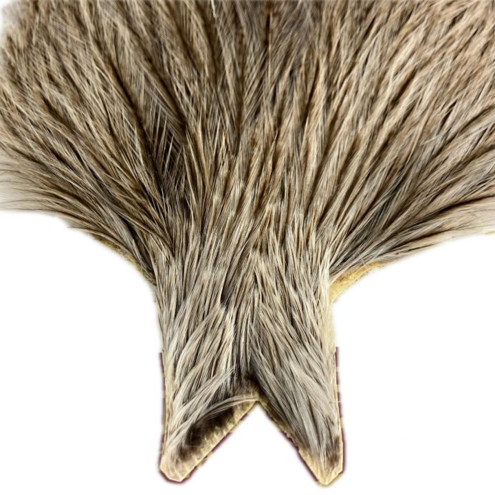 未使用　ホワイティング　コックデレオン ブロンズグレード　フライマテリアル WHITING WHITING フライマテリアル COQ DE LEON コックデレオン