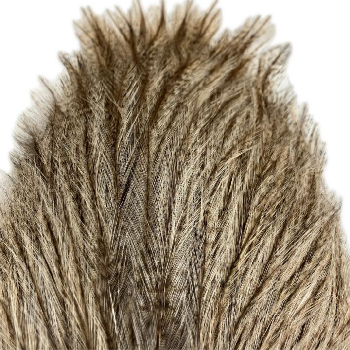 WHITING WHITING フライマテリアル COQ DE LEON コックデレオン