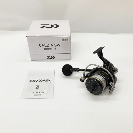  DAIWA ダイワ CALDIA SW 22 カルディア SW 8000-H 3165764 スピニングリール