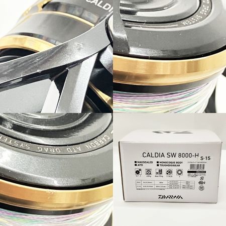  DAIWA ダイワ CALDIA SW 22 カルディア SW 8000-H 3165764 スピニングリール