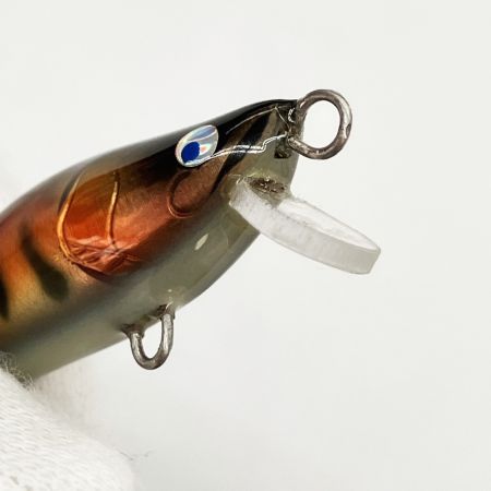  麗s Lure Craft レイズルアークラフト 麗's ミノー 40mm ヤマメ婚姻色 未使用品