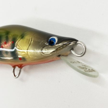  麗s Lure Craft レイズルアークラフト 麗's ミノー 60mm 箱付 アマゴ 未使用品