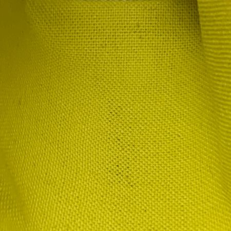  LOUIS VUITTON ルイヴィトン ジャイアント モノグラム トゥルース エリザベット ペンケース  GI0376 パープル