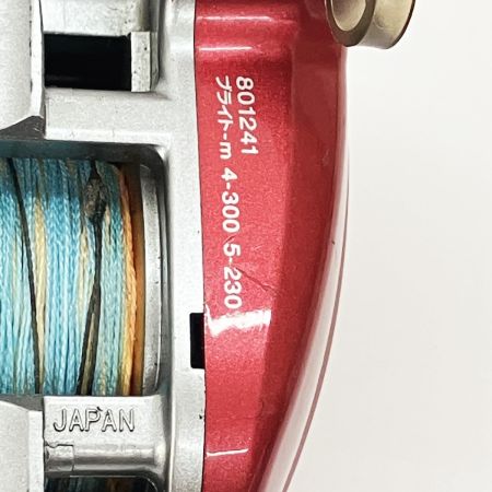  DAIWA ダイワ SEA BORG シーボーグ 300FB 801241 電動リール