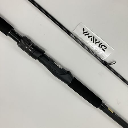  DAIWA ダイワ KAMUY RANKE TAM カムイランケタム 109ML/M+AGS 05809536 シーバスロッド 未使用品