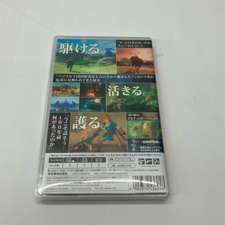  Nintendo ニンテンドウ switch ゲームソフト ゼルダの伝説 ブレス オブ ザ ワイルド