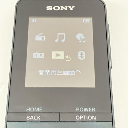  SONY ソニー WALKMAN ウォークマン ポータブル プレーヤー NW-S315