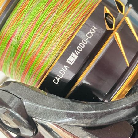  DAIWA ダイワ CALDIA 21カルディア LT4000-CXH 3063220 スピニングリール
