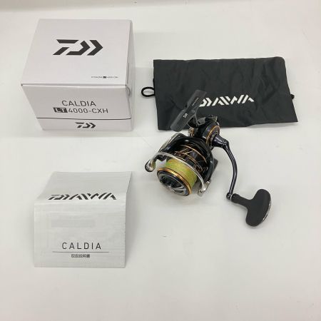  DAIWA ダイワ CALDIA 21カルディア LT4000-CXH 3063220 スピニングリール