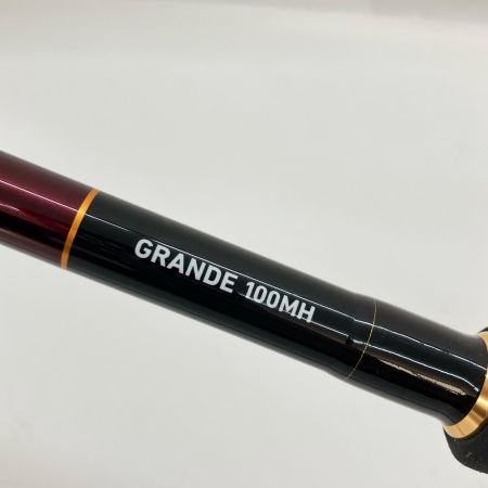  DAIWA ダイワ OVERTHERE オーバーゼア グランデ 100MH 05801051 ショアジギングロッド