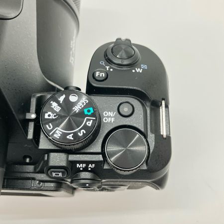 Nikon ニコン クールピクス COOLPIX P950 ネオ一眼 デジタルカメラ コンパクトデジタルカメラ