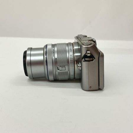 OLYMPUS オリンパス PEN Lite E-PL3 ミラーレス一眼カメラ