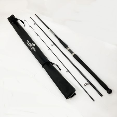 ufmウエダ Plugging Special プラッギングスペシャル ジャンク品 シーバスロッド CPS-123
