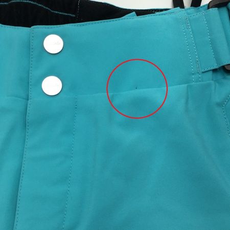  PHENIX フェニックス Demo Team Ws 3D Pants スキーパンツ SIZE S レディース PF982OB12W スカイブルー