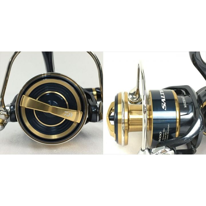 DAIWA ダイワ 20 ソルティガ 8000-H スピニングリール 箱付 00065002｜中古｜なんでもリサイクルビッグバン