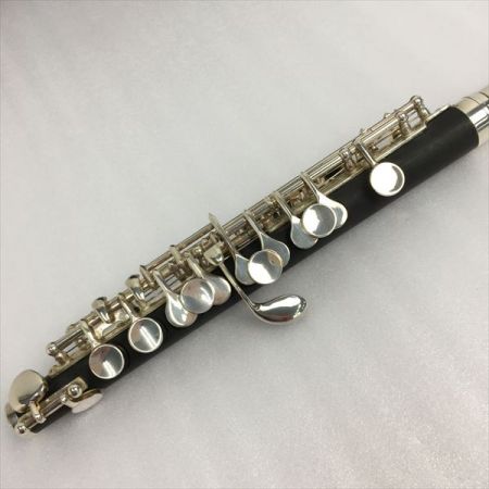  Kaerntner ケルントナー 《 入門者用ピッコロ 》KPC-320 KPC-320