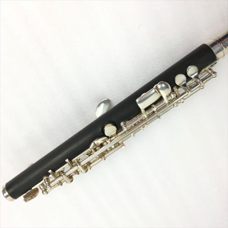  Kaerntner ケルントナー 《 入門者用ピッコロ 》KPC-320 KPC-320